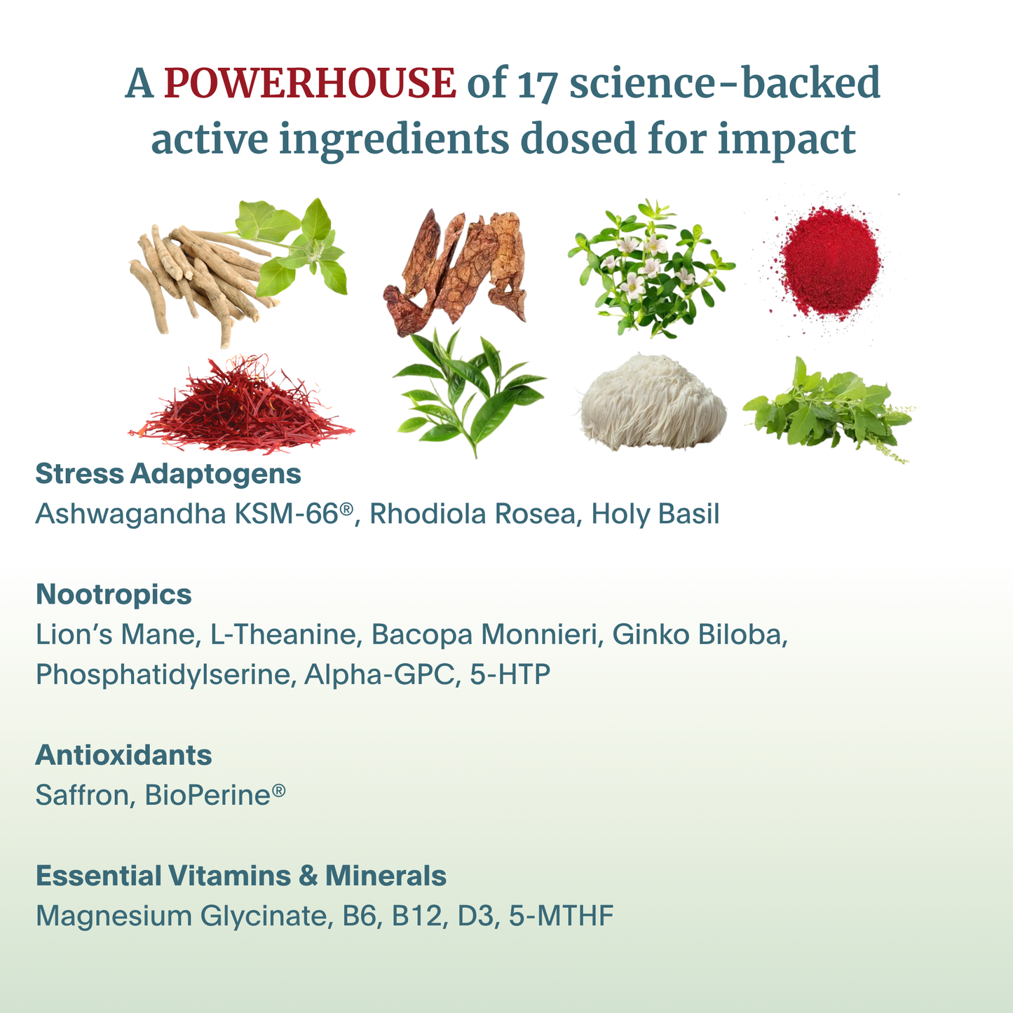 HappyMynd - The Complete Brain and Mind Nutrition