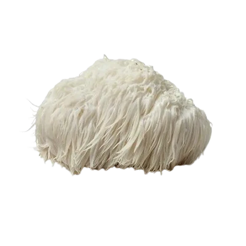 Lion’s Mane Mushroom