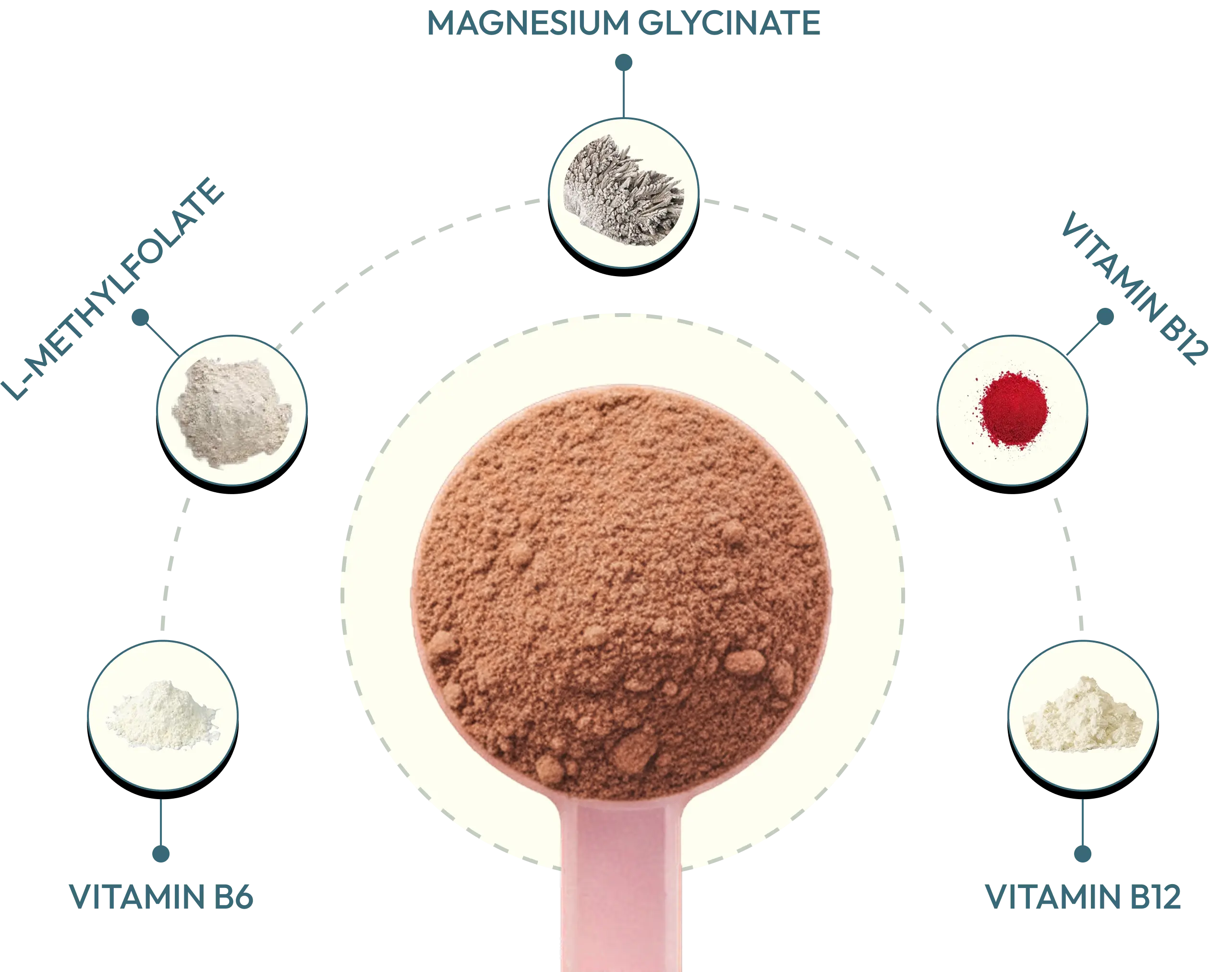 Supplement powder scoop with labeled ingredients including magnesium glycinate, L-methylfolate, vitamin B6, and vitamin B12 on a white background.